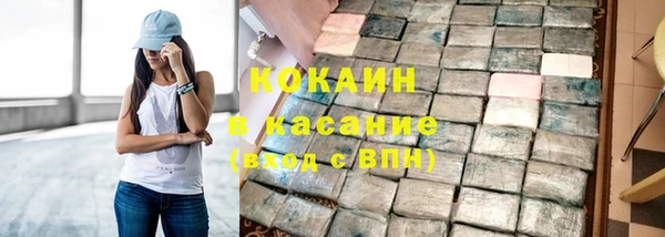 ГАЛЛЮЦИНОГЕННЫЕ ГРИБЫ Богданович