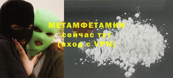 ГАЛЛЮЦИНОГЕННЫЕ ГРИБЫ Богданович