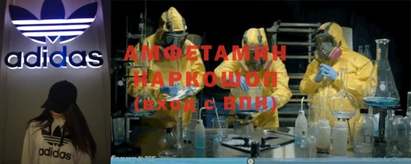 ГАЛЛЮЦИНОГЕННЫЕ ГРИБЫ Богданович