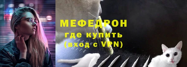 ГАЛЛЮЦИНОГЕННЫЕ ГРИБЫ Богданович