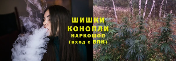 ГАЛЛЮЦИНОГЕННЫЕ ГРИБЫ Богданович
