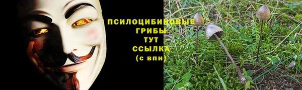 ALPHA-PVP Богородицк