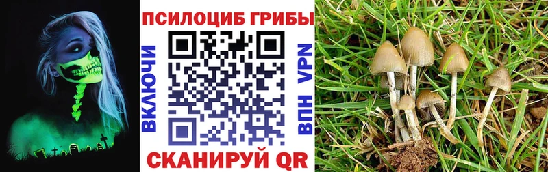 Галлюциногенные грибы Magic Shrooms Армавир